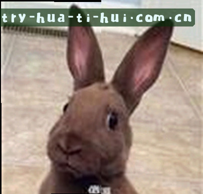 刘洋